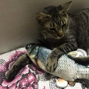 Toy Fish USB Electric Charging Simulation Floppy fish